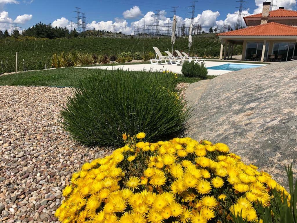 Quinta Bemboa Turismo Espaco Rural Aricera Exterior photo